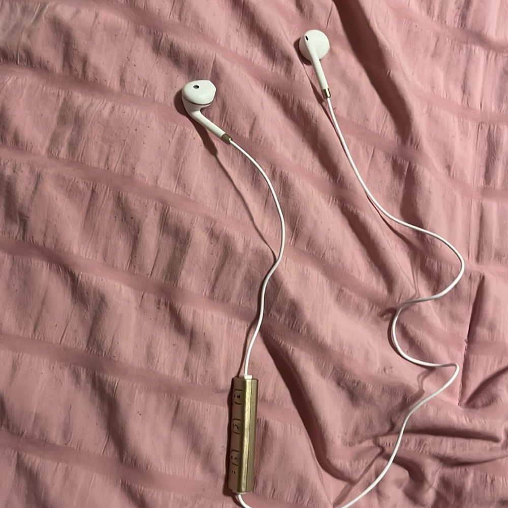 Brand new headphones. Regular size